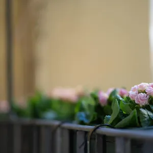https://pgrhome-luxury-apartments.it-romehotels.com
